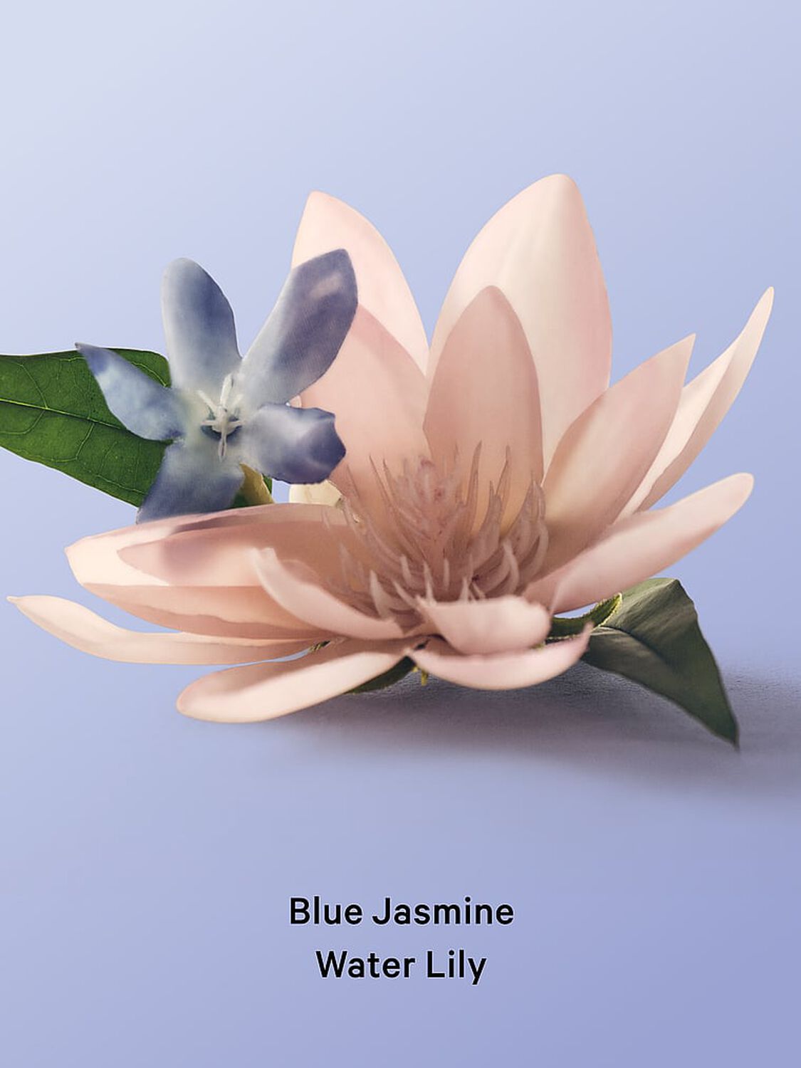 vs Body Care Blue Jasmine Water Lily Whipped Body Scrub 216 g Blue Jasmine Water Lily 4 of 4 