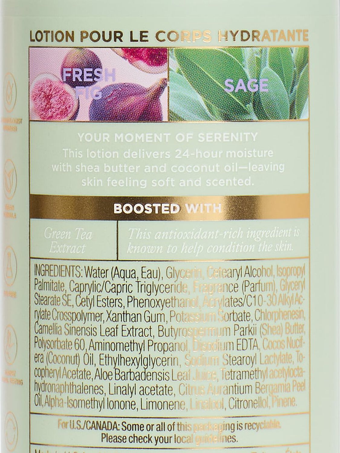vs Body Care Fresh Fig Sage Body Lotion 296 ml Fresh Fig Sage 2 of 4 