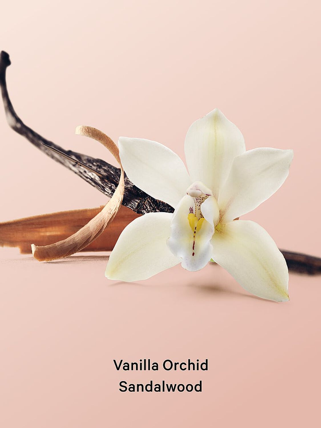 vs Body Care Vanilla Orchid Sandalwood Cream Body Wash 296 ml Vanilla Orchid Sandalwood 4 of 4 