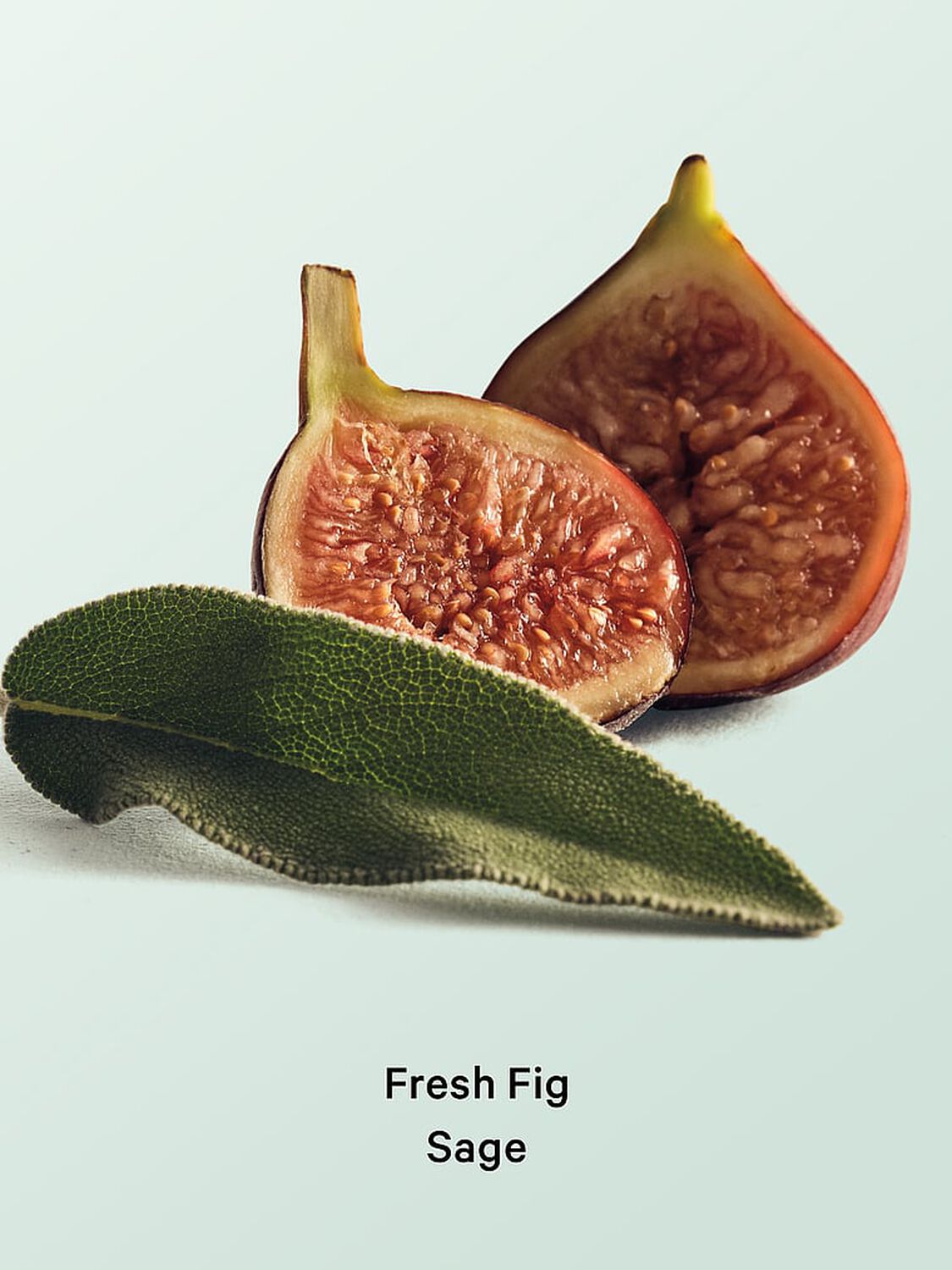 vs Body Care Fresh Fig Sage Hair & Body Mist 236 ml Fresh Fig Sage 2 of 2 