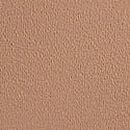 No-Show Thong Panty, Praline, swatch