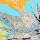 No-Show Hiphugger Panty, Aqua Chill Fruit Print, swatch
