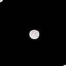 Cotton High-Leg Thong Panty, Black Dot P Script Print, swatch