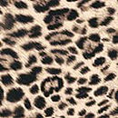 Exploded Logo Cotton Thong Panty, Leopard, swatch