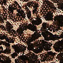 Lace Low-Rise Boyshort, Leopard, swatch