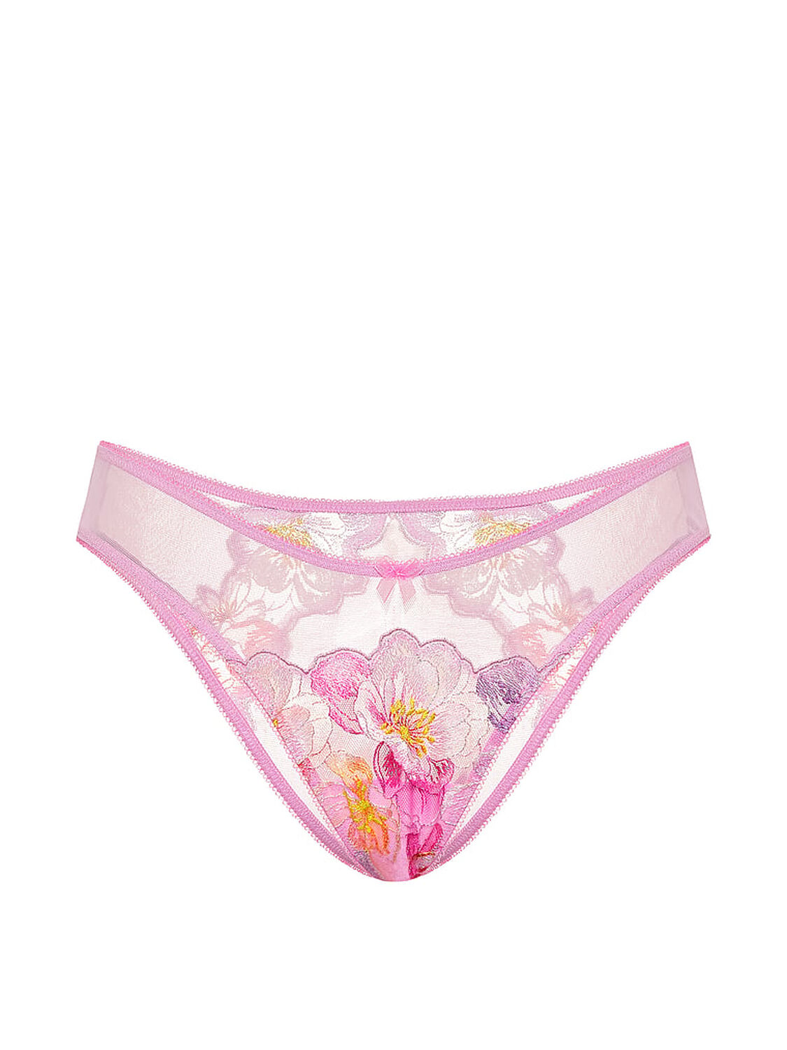 vs Dream Angels Watercolor Embroidery Brazilian Panty Watercolor Embroidery 3 of 3 