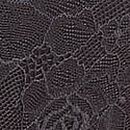 Rose Lace Overlay Cheeky Panty, Tornado, swatch