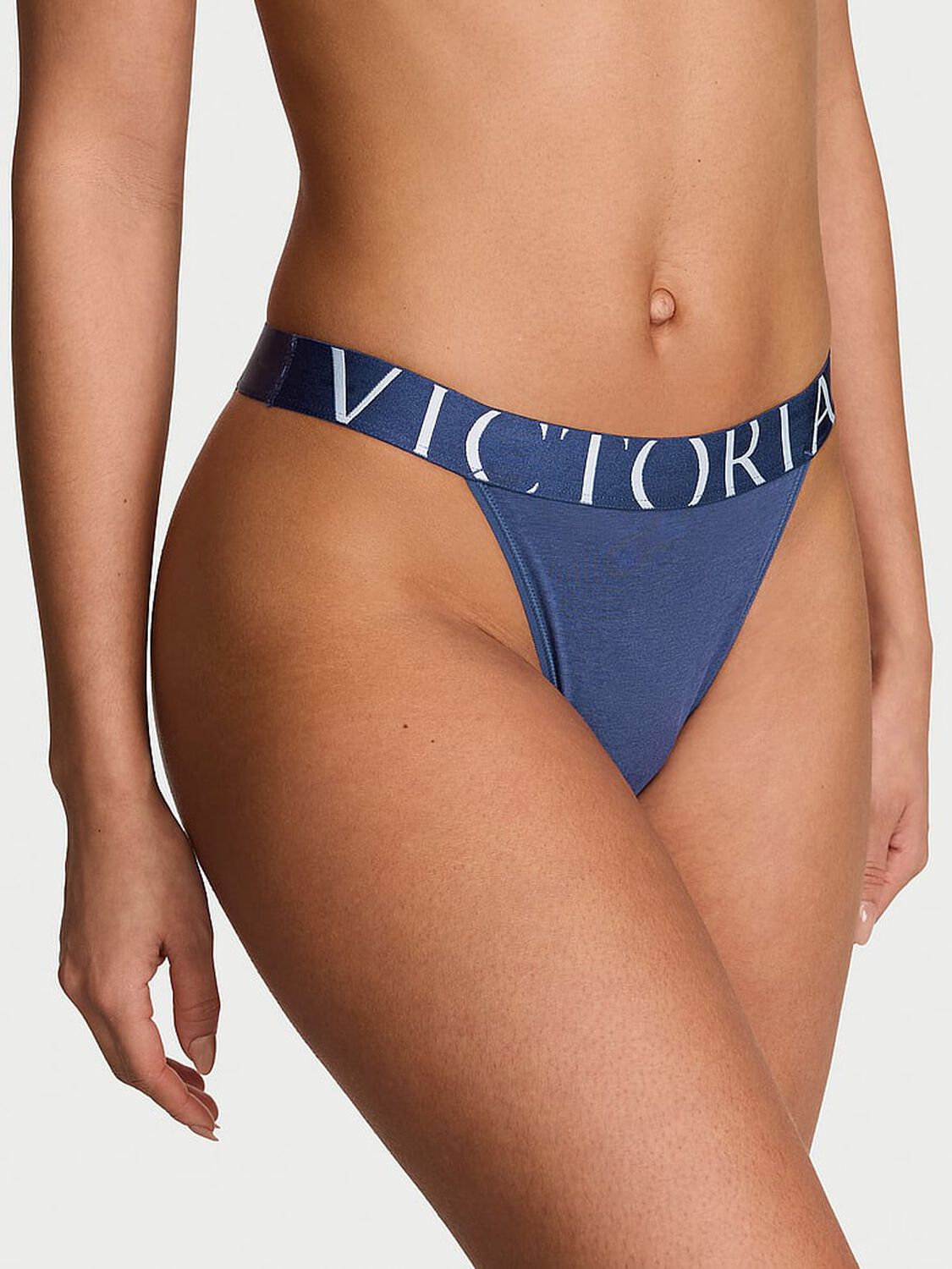 vs Cotton Exploded Logo Cotton 90s Brief Panty Ink Blue 1 of 3 