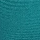 Smooth & Lace Push-Up Bra, Aquarium Blue, swatch