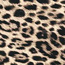 Exploded Logo Cotton Hiphugger Panty, Leopard, swatch
