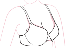 Bra Education