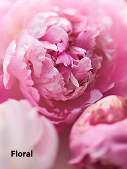 Floral