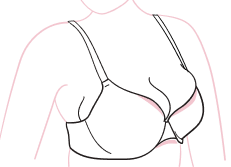 Bra Education